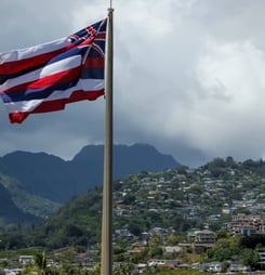 Hawaii Flag Day