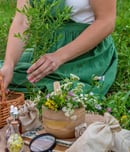 herbalist day