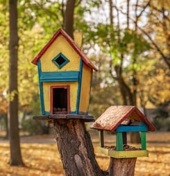 homes for birds week