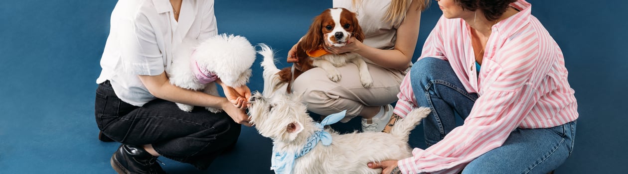 humane society anniversary day