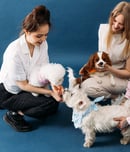 humane society anniversary day