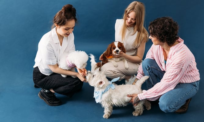 humane society anniversary day