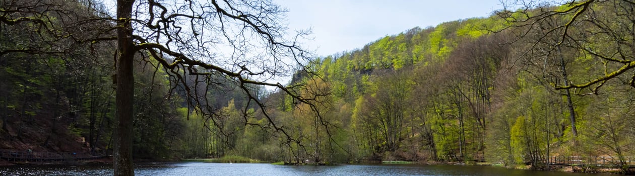 i love my state park week