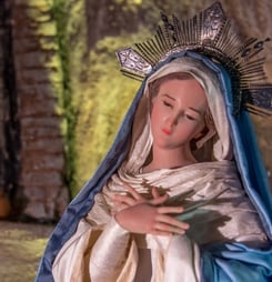 immaculate conception