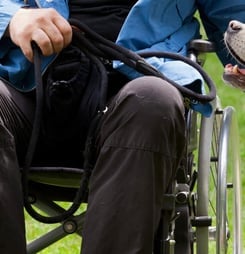 international assistance dog week