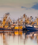 international blessings of the fishing fleet