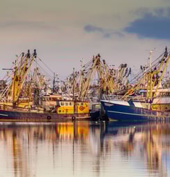 international blessings of the fishing fleet