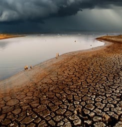 International Cli-Fi Day