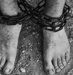 international day in support of victims of torture