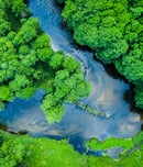 international day of action for rivers
