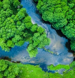 international day of action for rivers