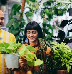 international day of plant health