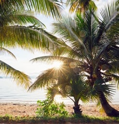 international day of the tropics