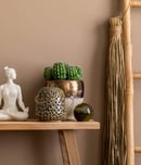 international feng shui awareness day