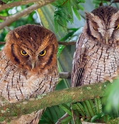 international own awareness day