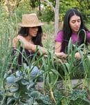 international permaculture day