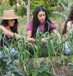 international permaculture day