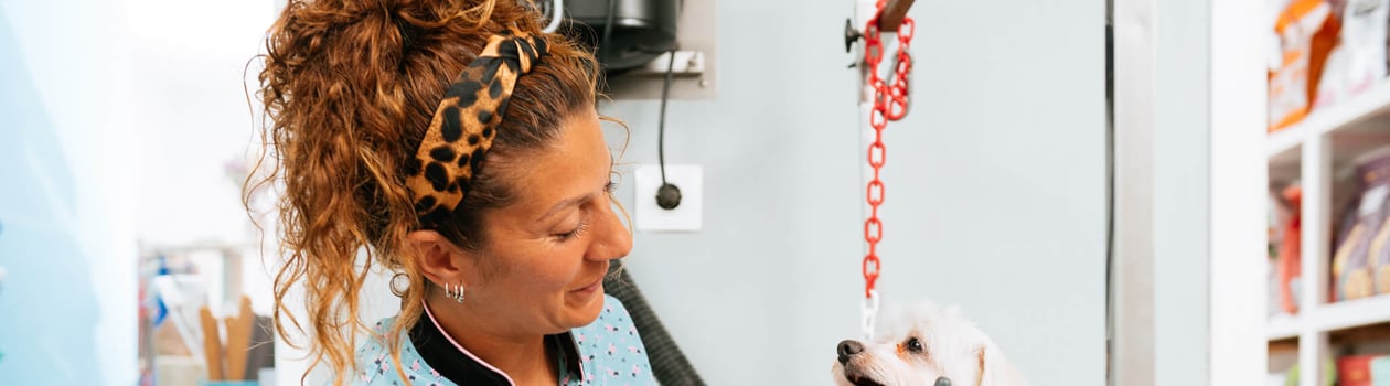 international pet groomer day