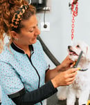 international pet groomer day