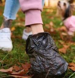 international pooper scooper week