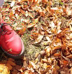 international red shoe day