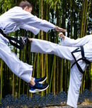 International Taekwondo Day