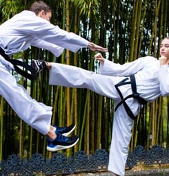 International Taekwondo Day