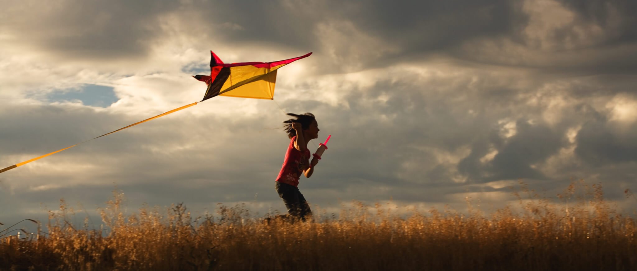 National Kite Flying Day (February 8th) | Days Of The Year