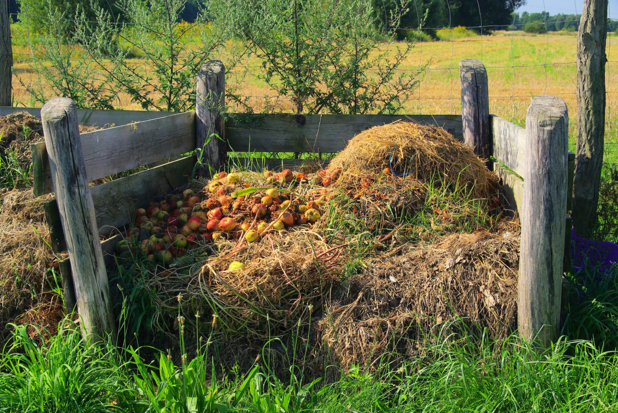 A Complete Guide to How to Compost at Home - Countryside