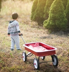 little red wagon day