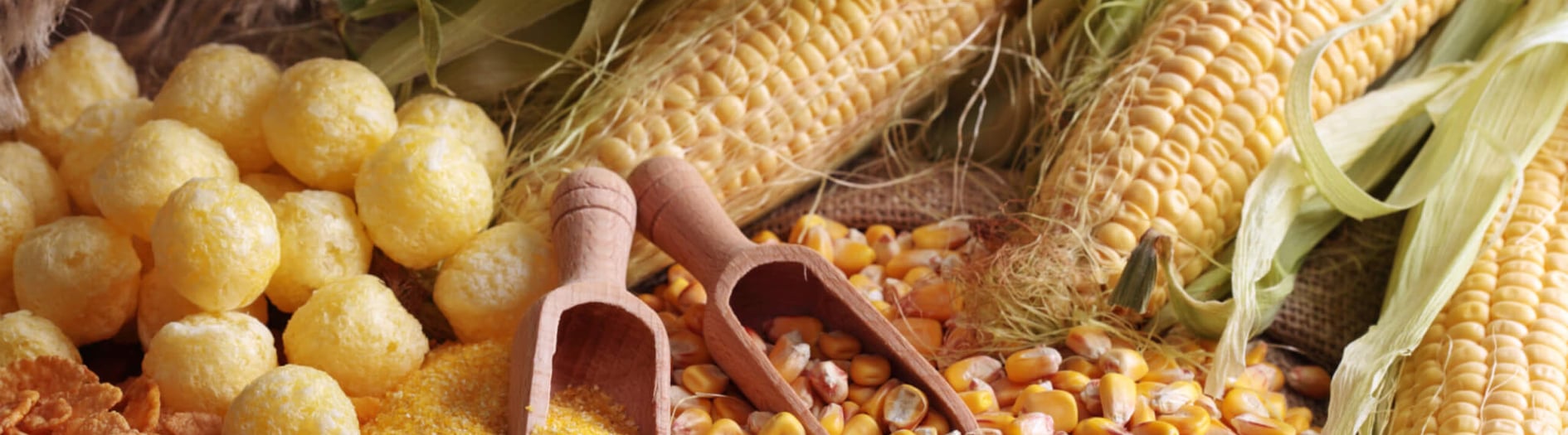 Maize Day | Days Of The Year