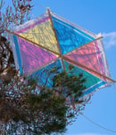 makar sankranti
