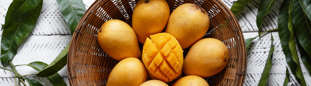 mango festival