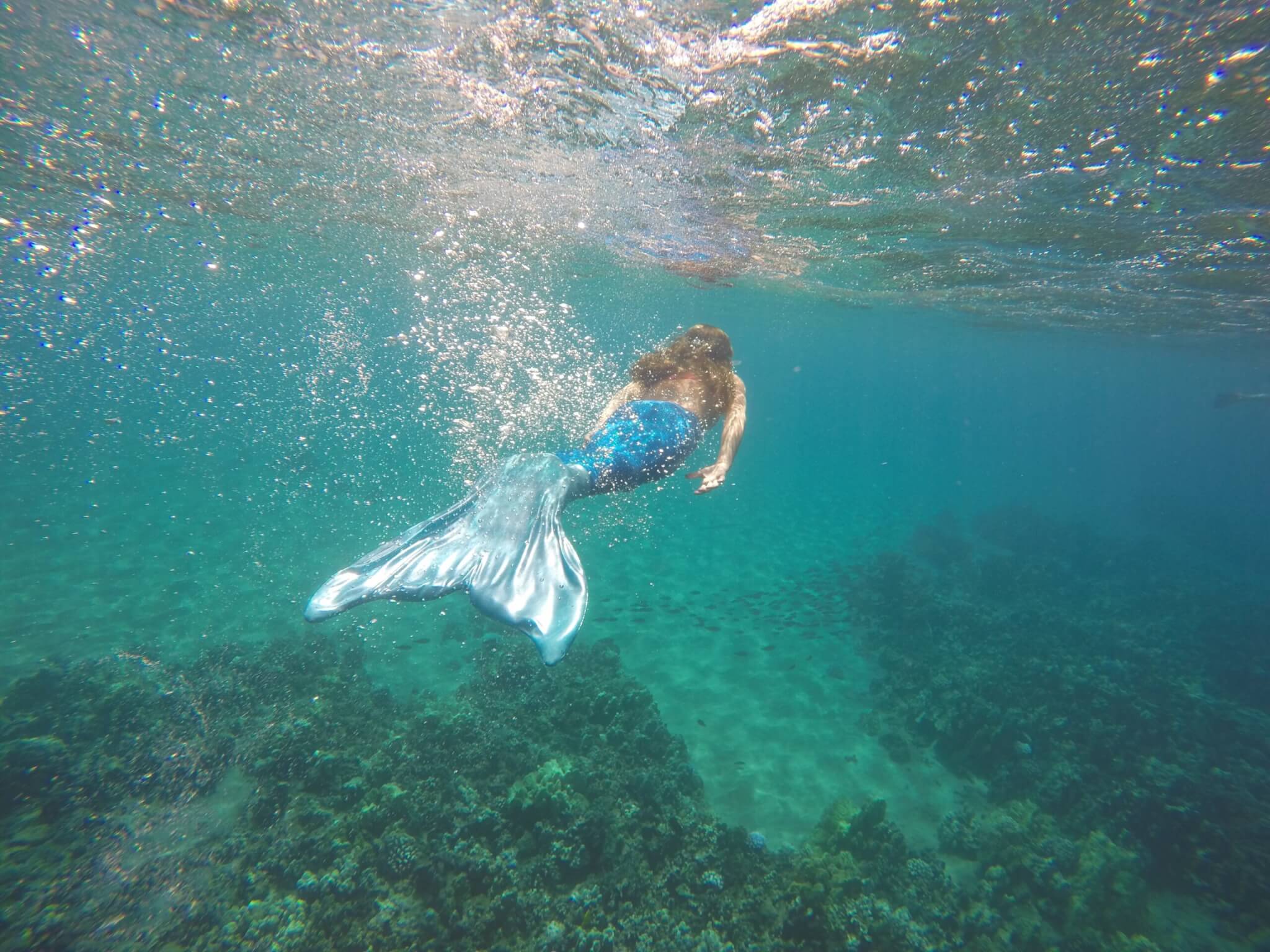 International Mermaid Day 2024 Dates Evvie Janifer