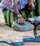nag panchami