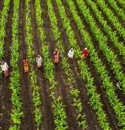 national agriculture week