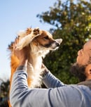 national akc responsile dog ownership day