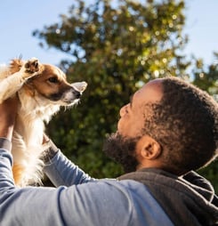 national akc responsile dog ownership day