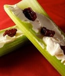 national ants on a log