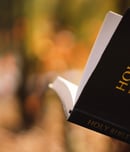 national bible week