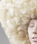 national big wig day