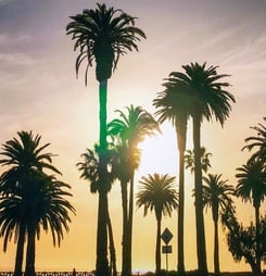 national california day