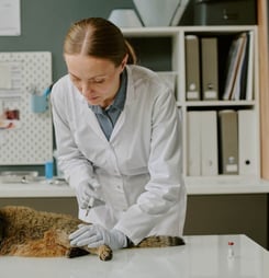 national cat dna day