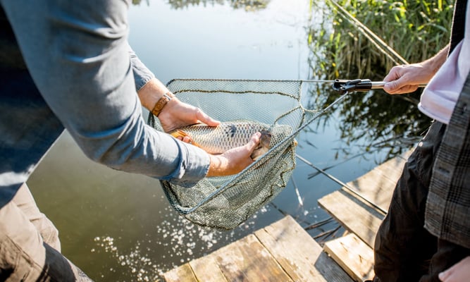 national catch and release day