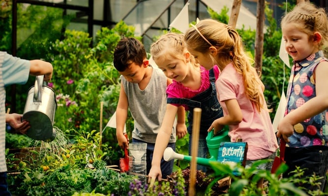 national childrens gardening week