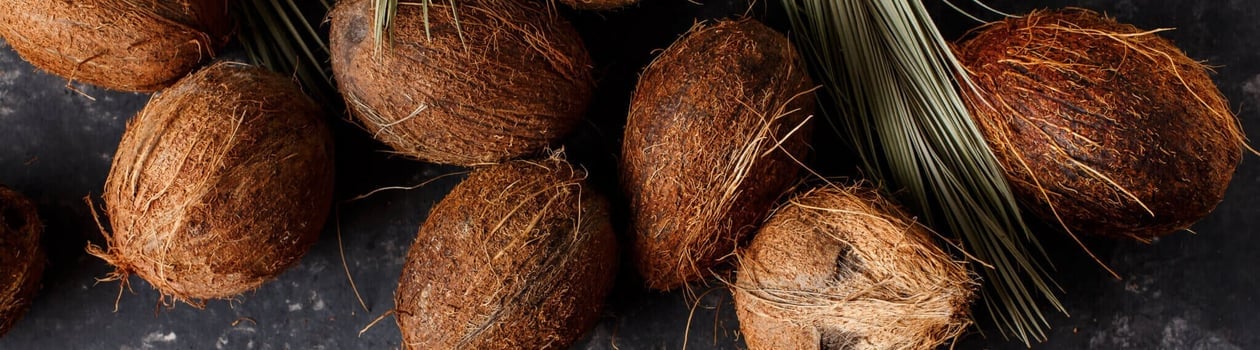 national coconut day