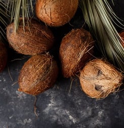 national coconut day