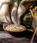national crawfish day