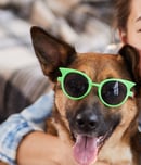 national dog mom's day