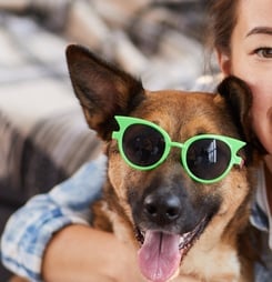 national dog mom's day